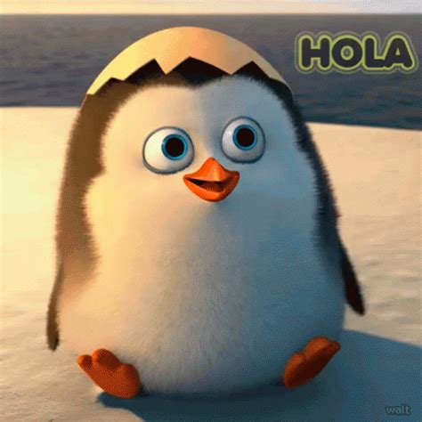 hola gif